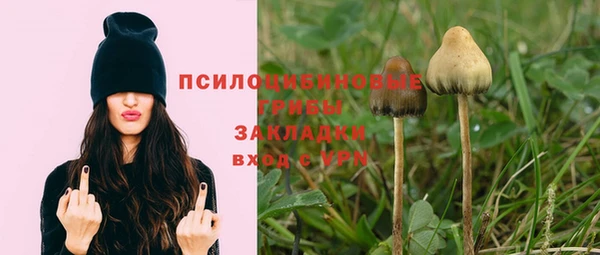 крисы Бронницы