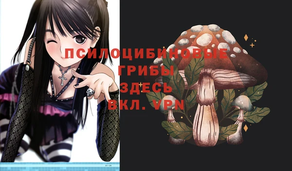 бошки Богданович
