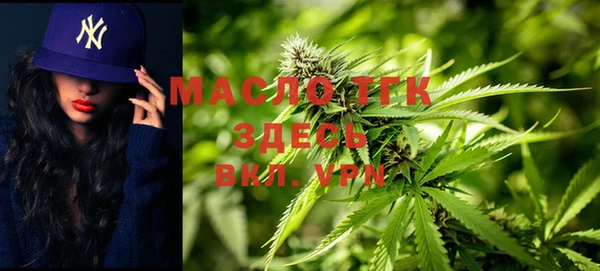 тгк Сатка
