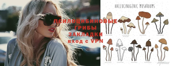 марки lsd Богородицк