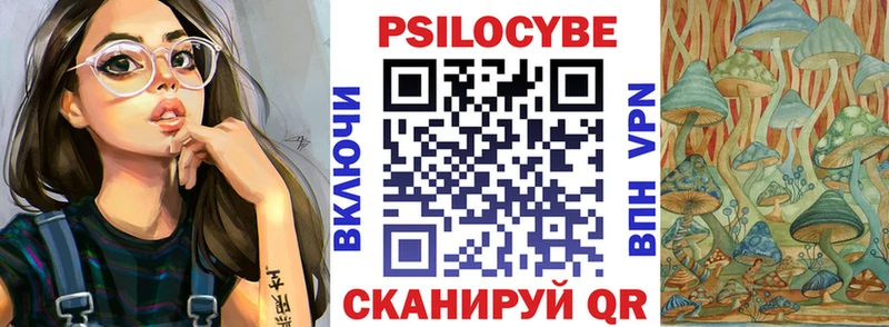 где купить наркоту  Тулун  Псилоцибиновые грибы Magic Shrooms 